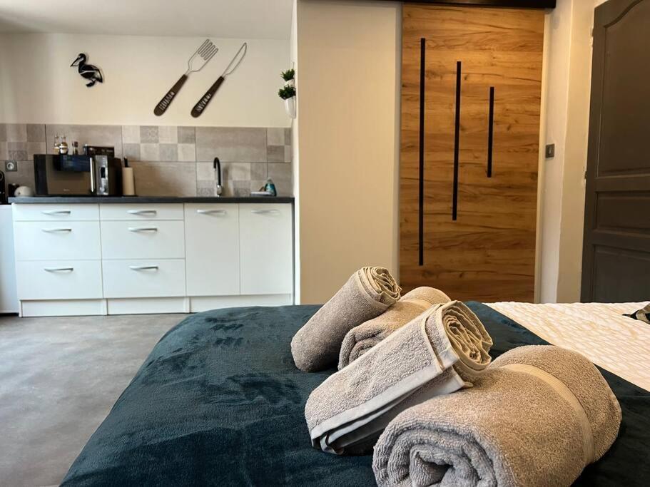Châtenois Studio Le Petit Pelican מראה חיצוני תמונה